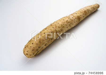 ヘルシーな長いも　とろろ芋　野菜　根菜　 74458996