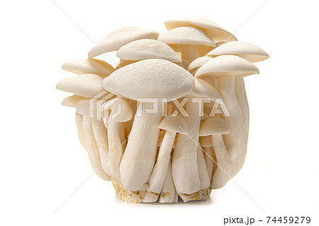 白ぶなしめじ 74459279