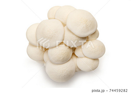 白ぶなしめじ 白ぶなしめじ 74459282