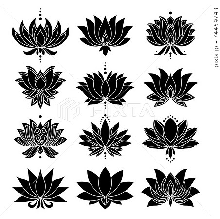 otus icons set. Blooming flowers. Monochrome blooming plants, various petals black symbols. Blossom, aquatic plant vector elements for web 74459743