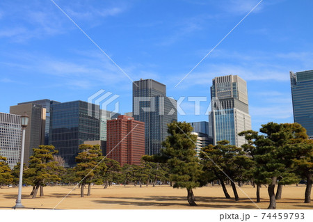 皇居前広場から東京駅丸の内ビル群と松の写真素材