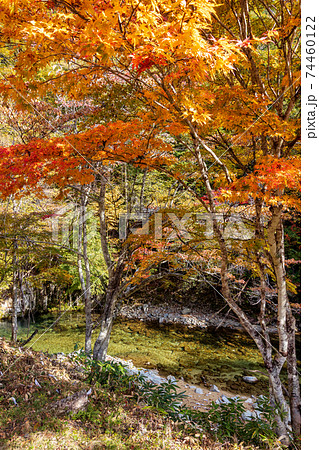 大倉滝　(10月　晴れ　秋) 74460122