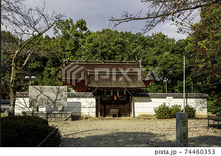 壺井八幡宮 社殿 大阪府羽曳野市 壺井八幡宮 社殿 大阪府羽曳野市 74460353