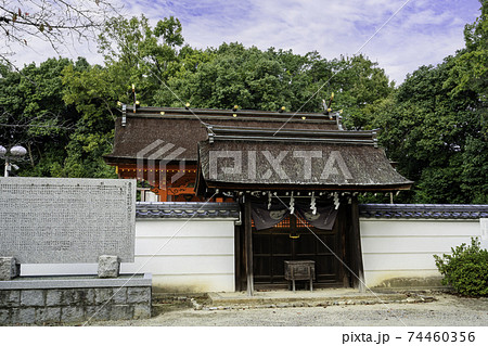 壺井八幡宮　社殿　大阪府羽曳野市 74460356