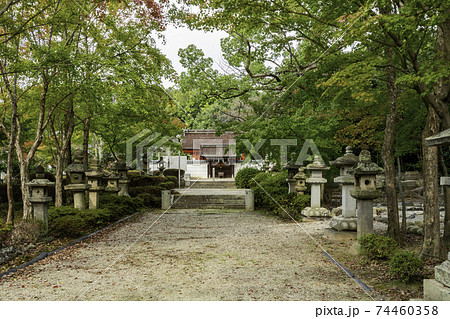 壺井八幡宮　社殿　大阪府羽曳野市 74460358