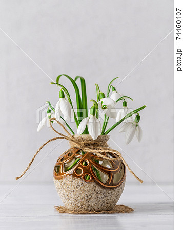 White delicate snowdrops in a round brown ceramic vase against a light gray background. 74460407