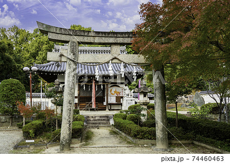 壺井八幡宮 壺井権現社 大阪府羽曳野市 壺井八幡宮 壺井権現社 大阪府羽曳野市 74460463