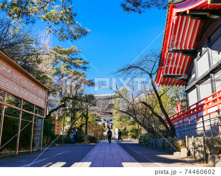 東京 高幡不動尊金剛寺 参道 東京 高幡不動尊金剛寺 参道 74460602