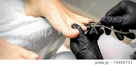 Pedicure master is cutting cuticle 74460731