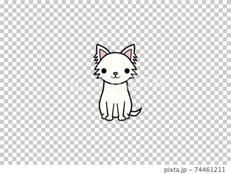Illustration of a Chihuahua sitting facing the front (color 3) Illustration of a Chihuahua sitting facing the front (color 3) 74461211