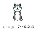 正面を向いて座る立ち耳犬のイラスト（カラー3） 74461213