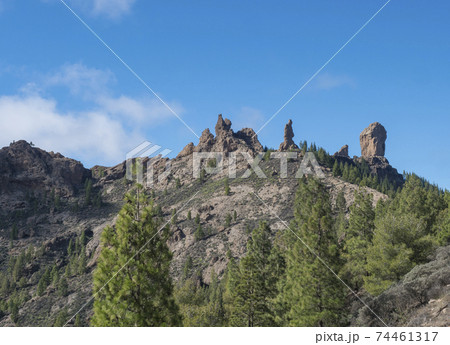 View of Roque Nublo rock formation in inland central mountains from famoust Gran Canaria hiking trail. Green pine trees and blue sky background. Canary Islands, Spain. View of Roque Nublo rock formation in inland central mountains from famoust Gran Canaria hiking trail. Green pine trees and blue sky background. Canary Islands, Spain. 74461317