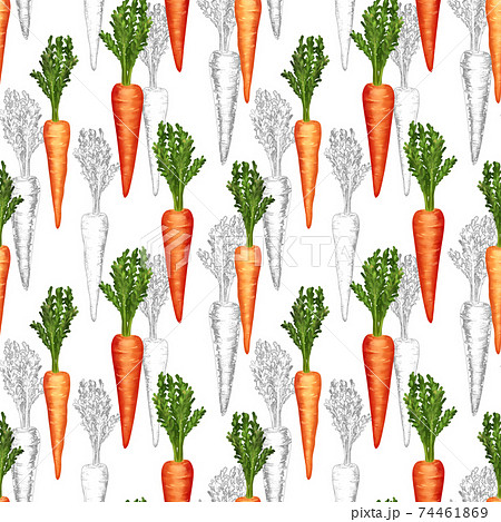 Orange carrot seamless pattern on white Orange carrot seamless pattern on white 74461869