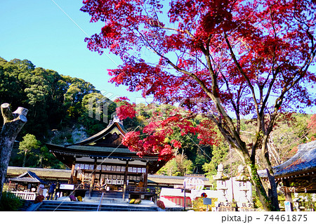 【京都】松尾大社 【京都】松尾大社 74461875