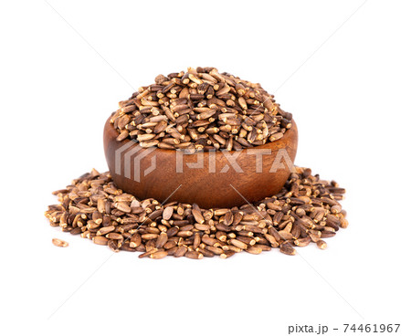 Milk Thistle seed in wooden bowl, isolated on white background. Silybum marianum, Scotch Thistle or Marian Thistle. 74461967