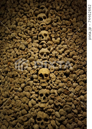 Human bones and skulls as pirate texture 74462662