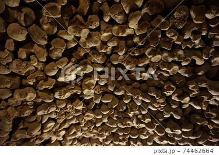 Human bones and skulls as pirate texture 74462664