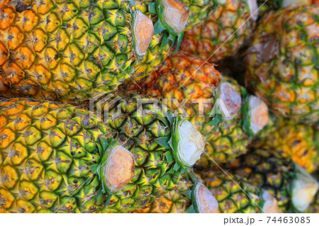 pineapple fruit texture 74463085