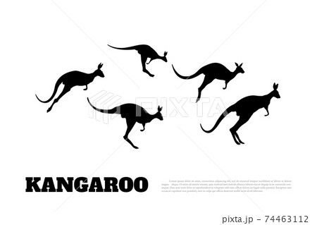 Black silhouettes of jumping kangaroos. Isolated drawing of wallaby. Animal of Australia 74463112