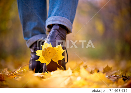 Yellow leaf stuck to the women shoe during a walk through the autumn forest. Indian summer season 74463455