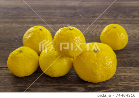 姫小春 姫小春 74464516