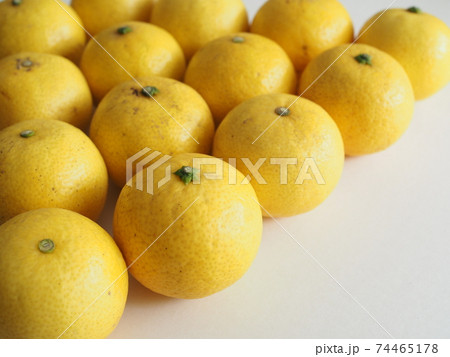 湘南ゴールドの果実 74465178