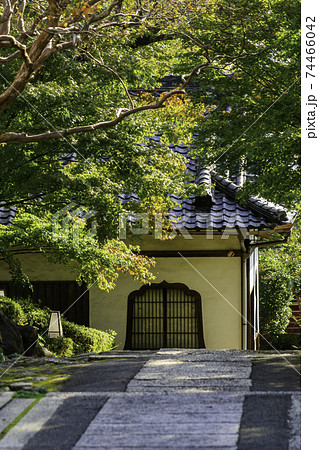 當麻寺　奥院　境内　奈良県葛城市 74466042