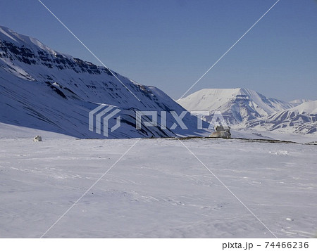 壮大な景色の中に住む野生動物たち 壮大な景色の中に住む野生動物たち 74466236