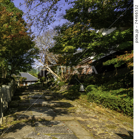 當麻寺　奥院　参道　奈良県葛城市 74466532