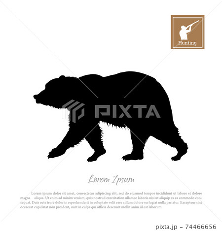 Black silhouette of bear on white background. Isolated forest animal 74466656
