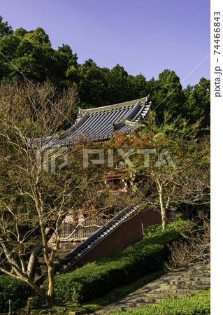 當麻寺　奥院　楼門　奈良県葛城市 74466843