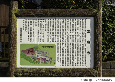 當麻寺 境内 奈良県葛城市 當麻寺 境内 奈良県葛城市 74466885