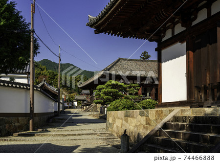 當麻寺　境内　奈良県葛城市 74466888