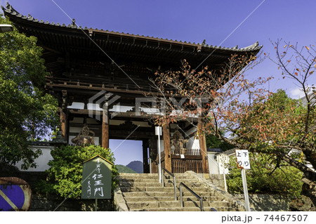 當麻寺　仁王門　奈良県葛城市 74467507