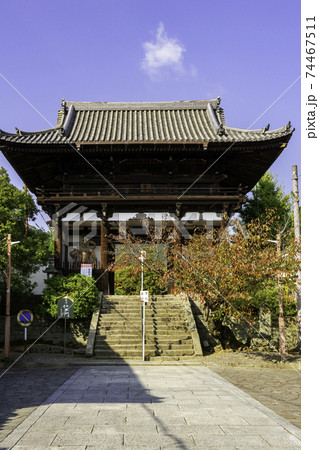 當麻寺 仁王門 奈良県葛城市 當麻寺 仁王門 奈良県葛城市 74467511