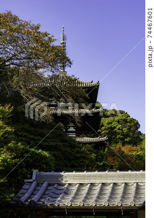 當麻寺　西塔　奈良県葛城市 74467601