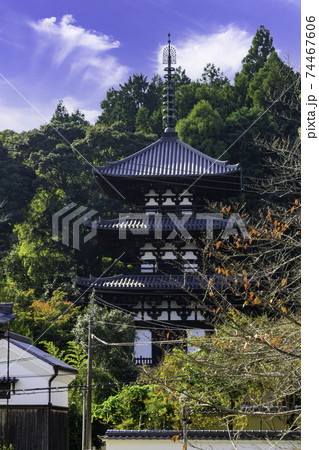 當麻寺 西塔 奈良県葛城市 當麻寺 西塔 奈良県葛城市 74467606