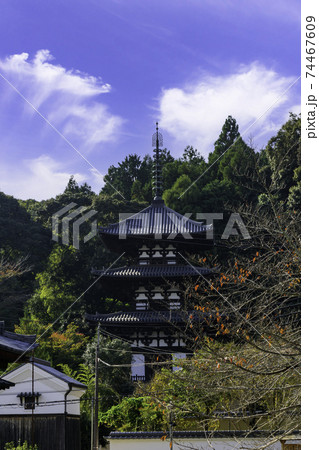 當麻寺　西塔　奈良県葛城市 74467609