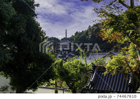 當麻寺　西塔　奈良県葛城市 74467610