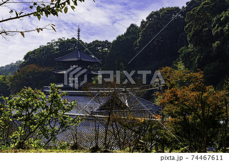 當麻寺　西塔　奈良県葛城市 74467611