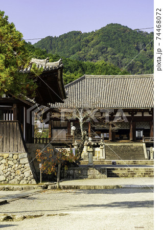 當麻寺 本堂(曼荼羅堂) 奈良県葛城市 當麻寺 本堂(曼荼羅堂) 奈良県葛城市 74468072