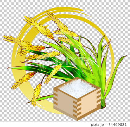 枡に入れた米と稲穂 和風イメージのイラスト素材
