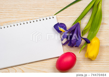 clear paper for message iris tulip easter egg clear paper for message iris tulip easter egg 74470464