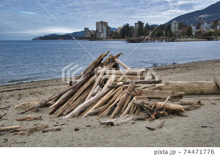 流木で作った秘密基地　　ウエスト　バンク－バ－　ブリティッシュコロンビア　カナダ 74471776