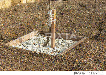 Wooden hole covered with decorative fine gravel for a fruit tree seedling 74472953