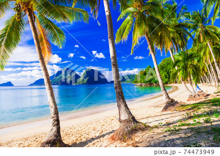 Relaxing tropical scenery with beautiful palm beach Relaxing tropical scenery with beautiful palm beach 74473949