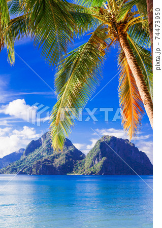 perfect tropical beach scenery - islands of Philippines, Palawan perfect tropical beach scenery - islands of Philippines, Palawan 74473950