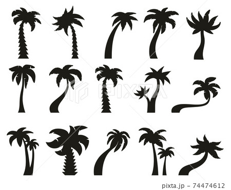 Palm trees silhouettes. Tropical botany palm tree, hawaiian coconut palm vintage silhouettes. Exotic green palm trees vector illustration set 74474612