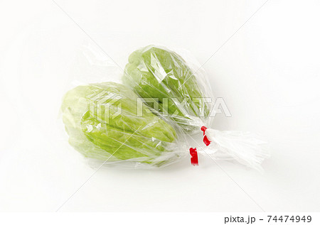 ハヤトウリ 袋入り ハヤトウリ 袋入り 74474949