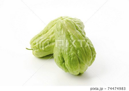 ハヤトウリ ハヤトウリ 74474983